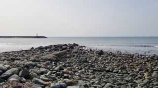 2024-03-Playa_La_Caleta-027.jpg
